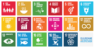 Het Belang van Duurzaamheid in de Moderne Samenleving