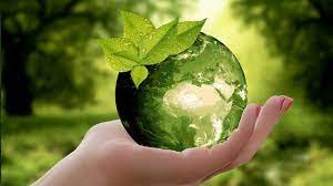 Stappen naar Milieu Duurzaamheid: Onze Weg naar een Groenere Toekomst