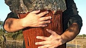 Duurzaamheid en veelzijdigheid van kurk: een natuurlijk alternatief